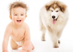 孩子跟狗狗独处，狗狗暖心的照顾孩子