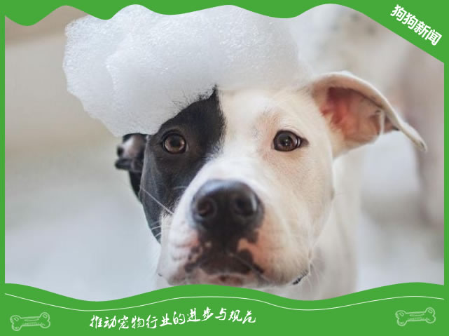 狗狗能用人的沐浴露吗？
